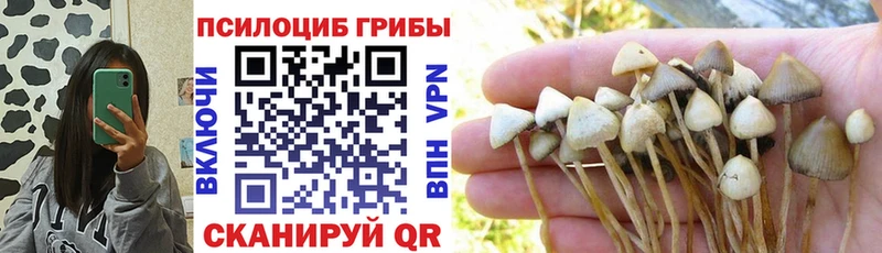 Галлюциногенные грибы Magic Shrooms  сколько стоит  МЕГА как зайти  Новоуральск 
