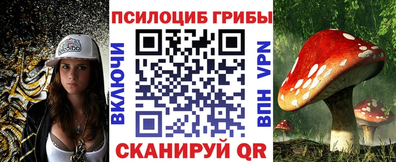 Псилоцибиновые грибы мицелий Новоуральск