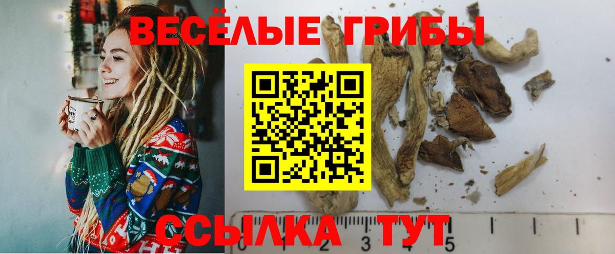 Галлюциногенные грибы GOLDEN TEACHER  Новоуральск  Галлюциногенные грибы ЛСД 